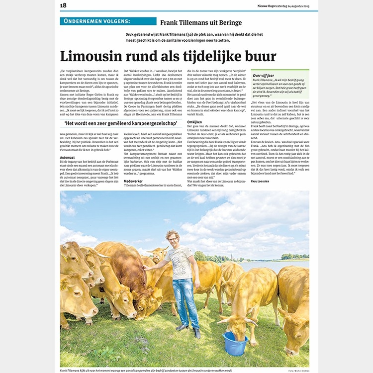 tillemans_limousin_runderen_lltb